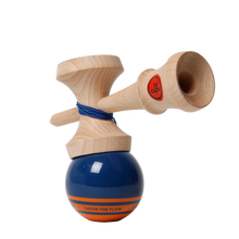 Laden Sie das Bild in den Galerie-Viewer, Record PLUS MatchClear