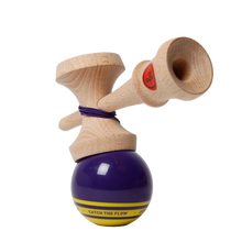 Laden Sie das Bild in den Galerie-Viewer, Record PLUS MatchClear